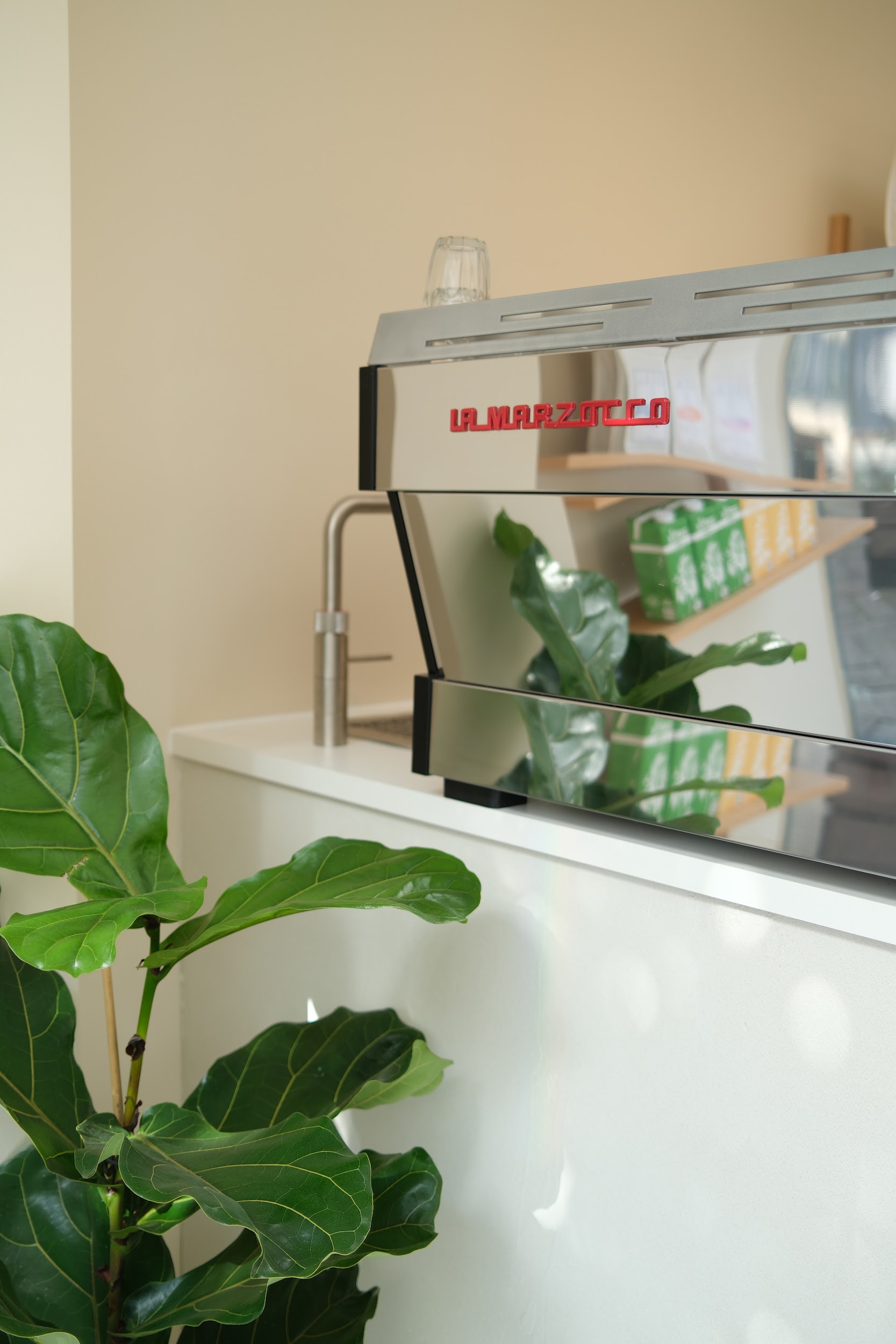 coffee machine on white bar and green plant